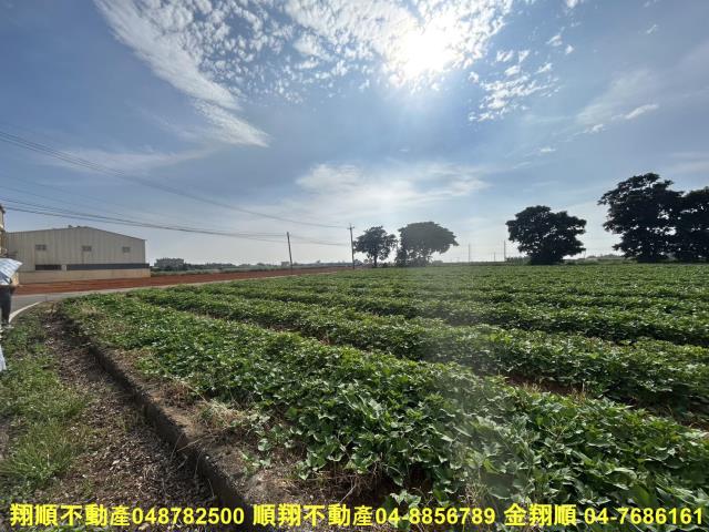 台中農地-15