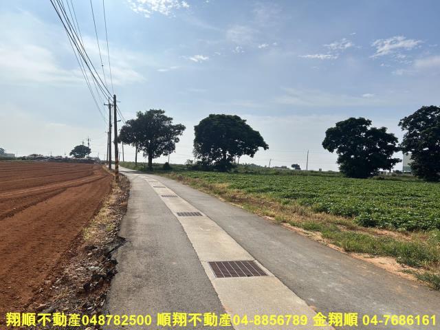 台中農地-7