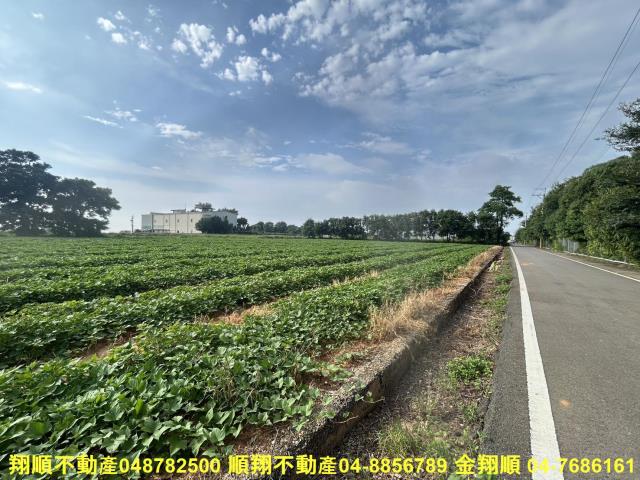 台中農地-11
