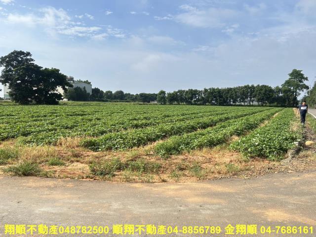 台中農地-3