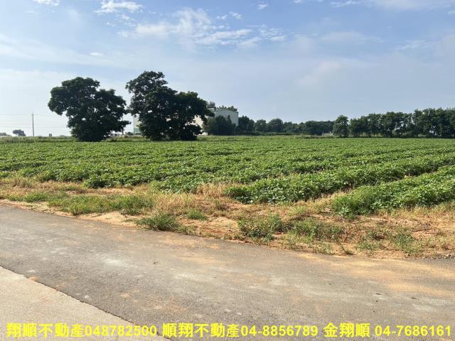 台中農地-4