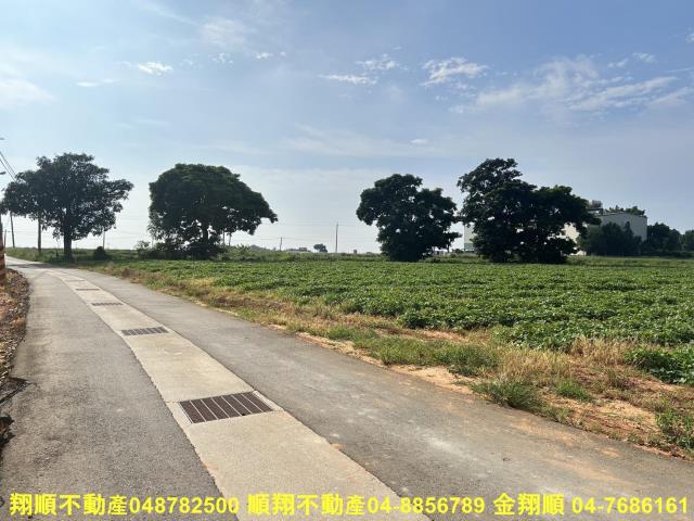 台中農地-5