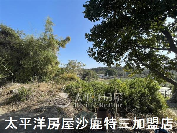 台中沙鹿建地-3