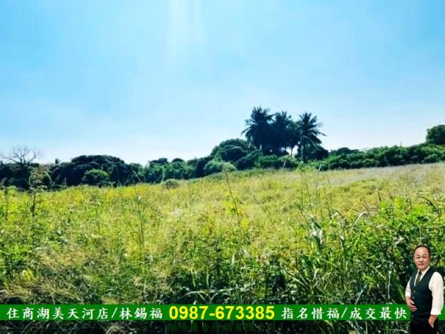台南新化農地-12