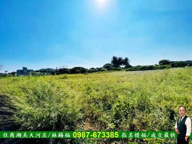 台南新化農地-9