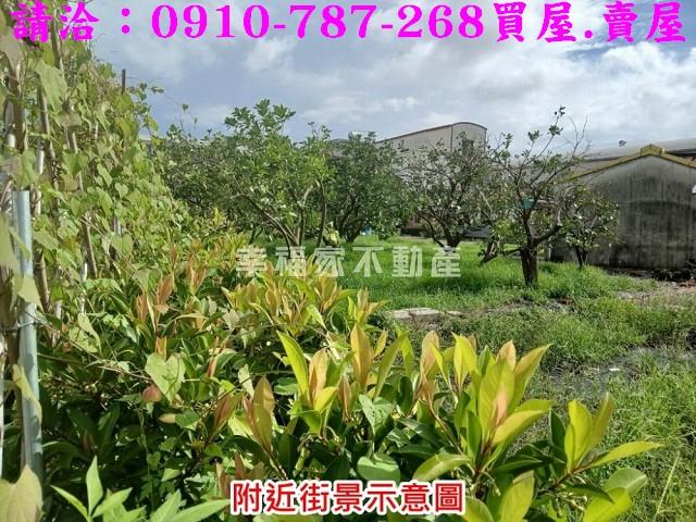 台南麻豆農地-6