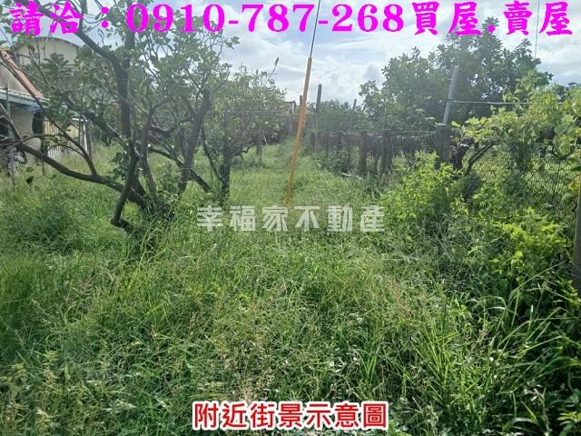 台南麻豆農地-7
