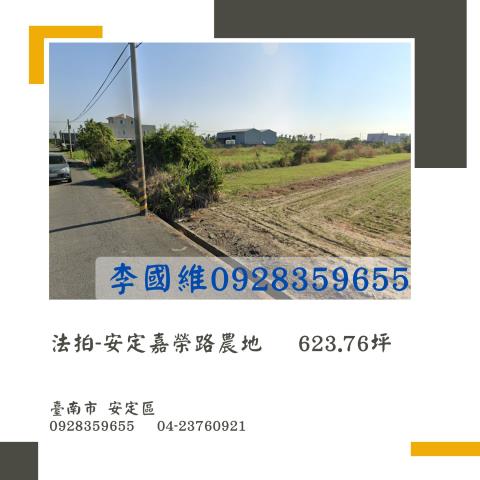 安定農地法拍-1