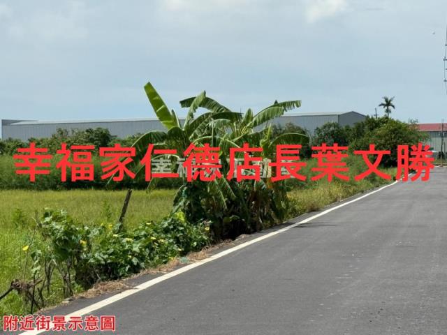 安定農地-9