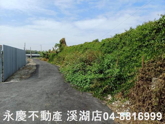永靖農地-11