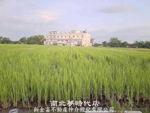 台南農地-2
