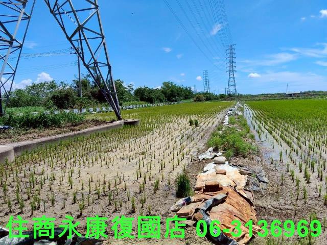 台南柳營農地-3