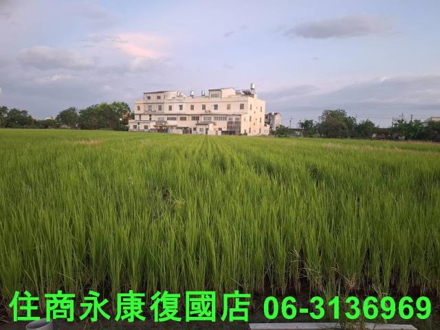 西港農地-2