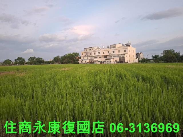 西港農地-7