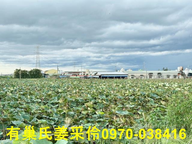 白河農地-10