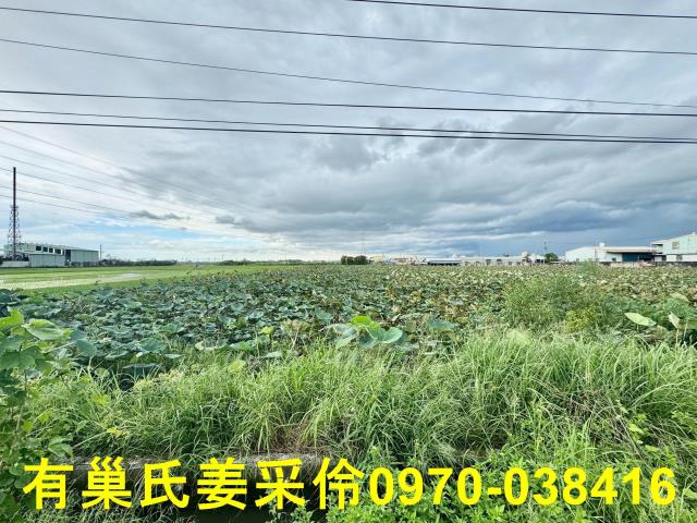 白河農地-11