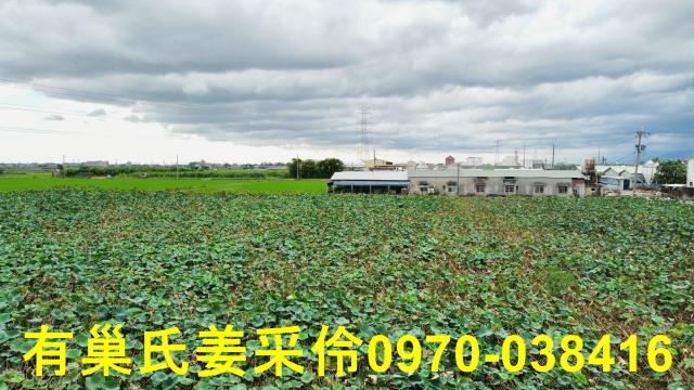 白河農地-12