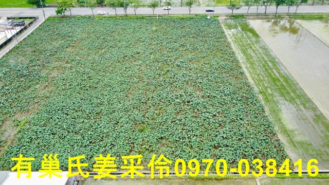 白河農地-2