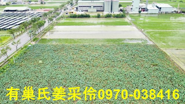 白河農地-6