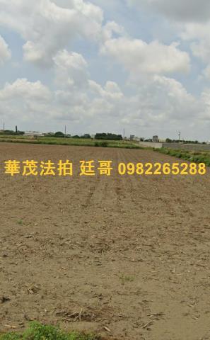 台南拍賣農地-1