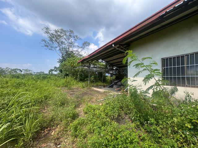 玉井農地-1