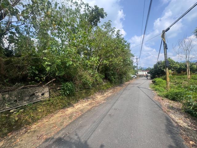 玉井農地-6