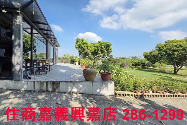 竹崎農地-8