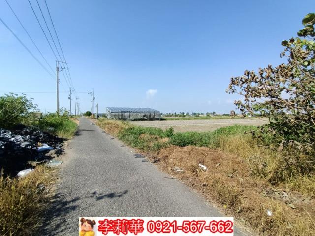 將軍農地-12