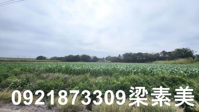 台南善化農地-1