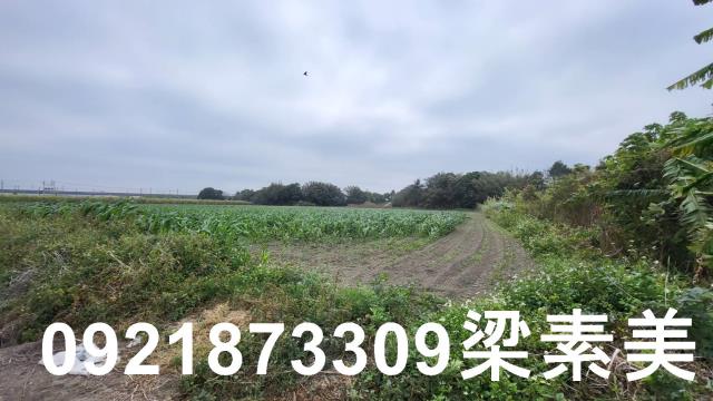 台南善化農地-5