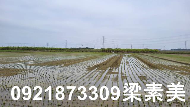 台南善化農地-7