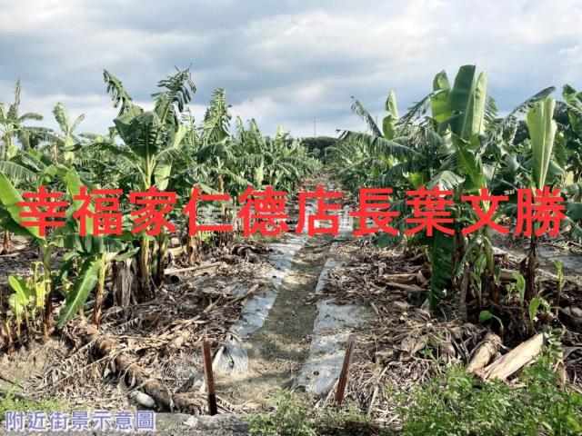 台南新市農地-13