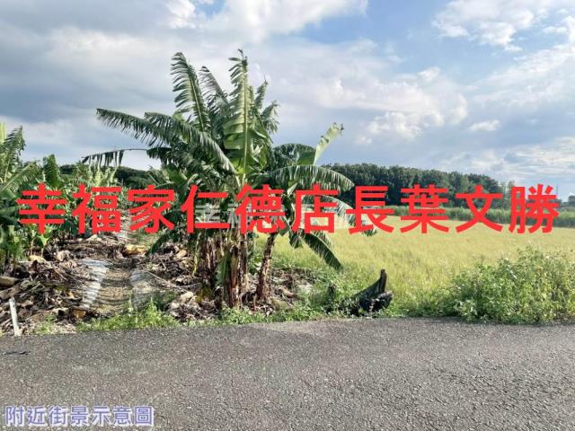 台南新市農地-14
