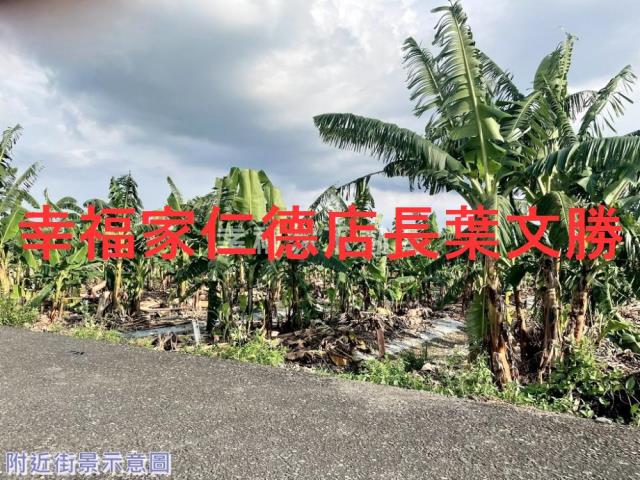 台南新市農地-4