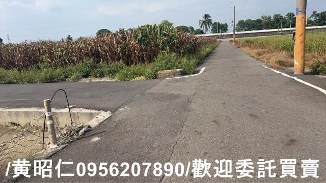 台南永康農地-5