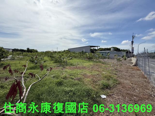 台南安南農地-4