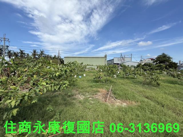 台南安南農地-1