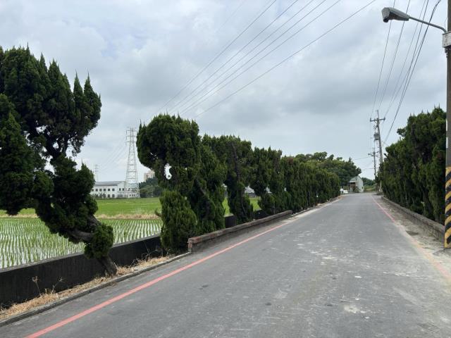 台中大雅農地-3
