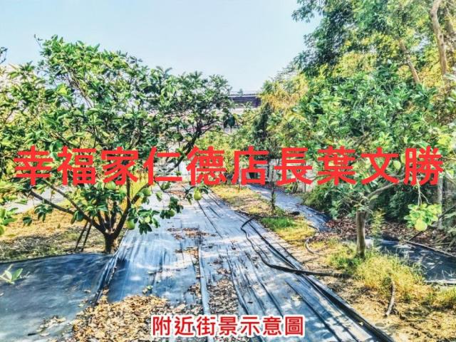 麻豆農地-12