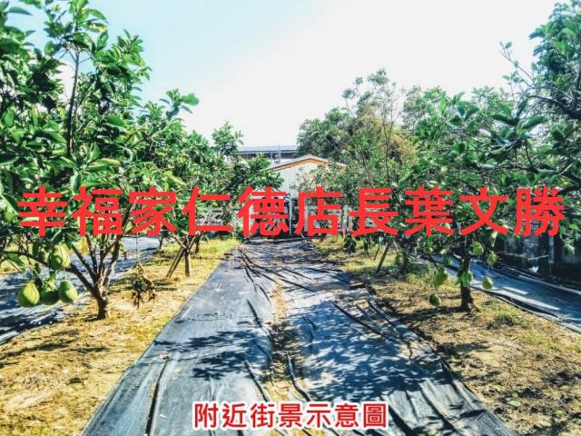 麻豆農地-7