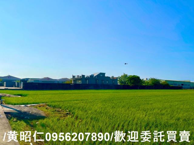 歸仁農地-11