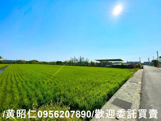 歸仁農地-13