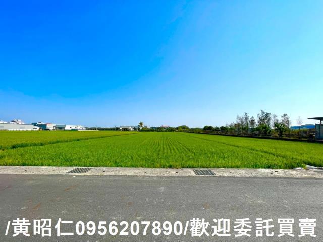 歸仁農地-15