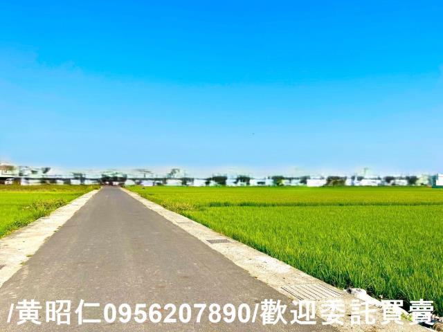 歸仁農地-2