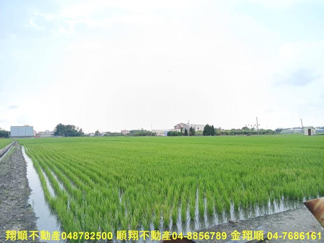 埔心農地-4