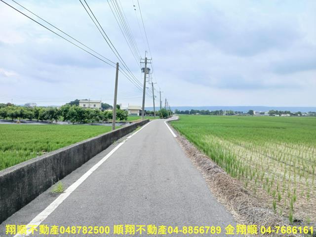 埔心農地-6