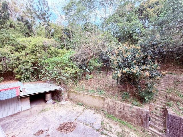 左鎮農地-14
