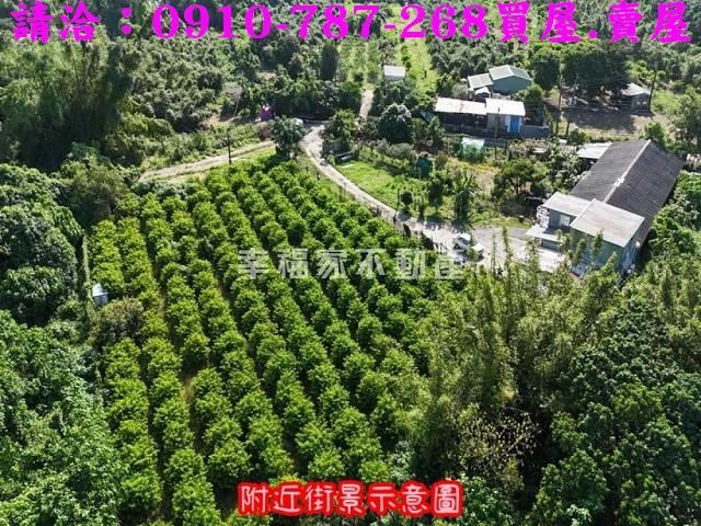台南農地-10
