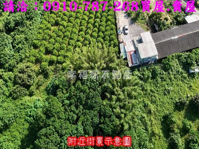 台南農地-5