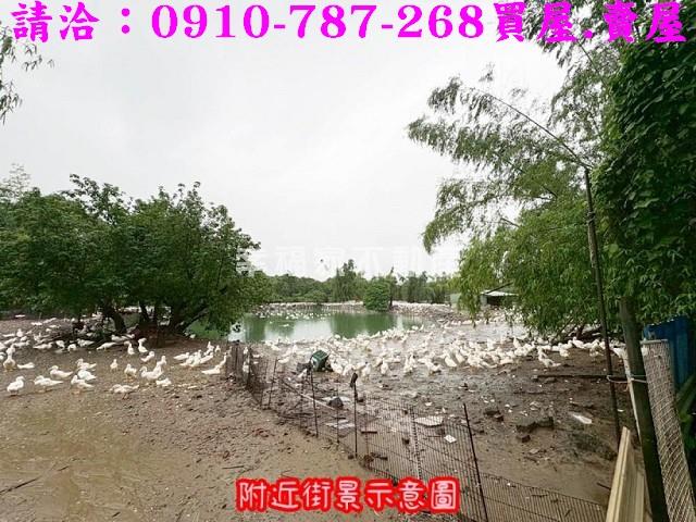 台南農地-10